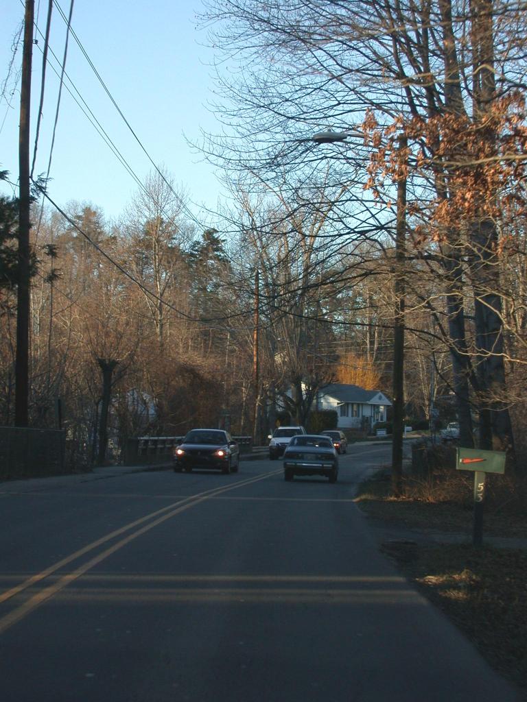 A road at dusk in Asheville