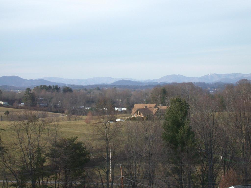 The view from my parents' back porch