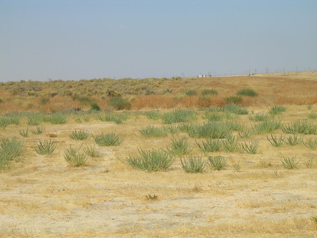 John to Aaron: “Don't crash it over there, where the rattlesnakes are”