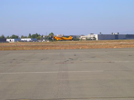 Cub in a crosswind at MYF