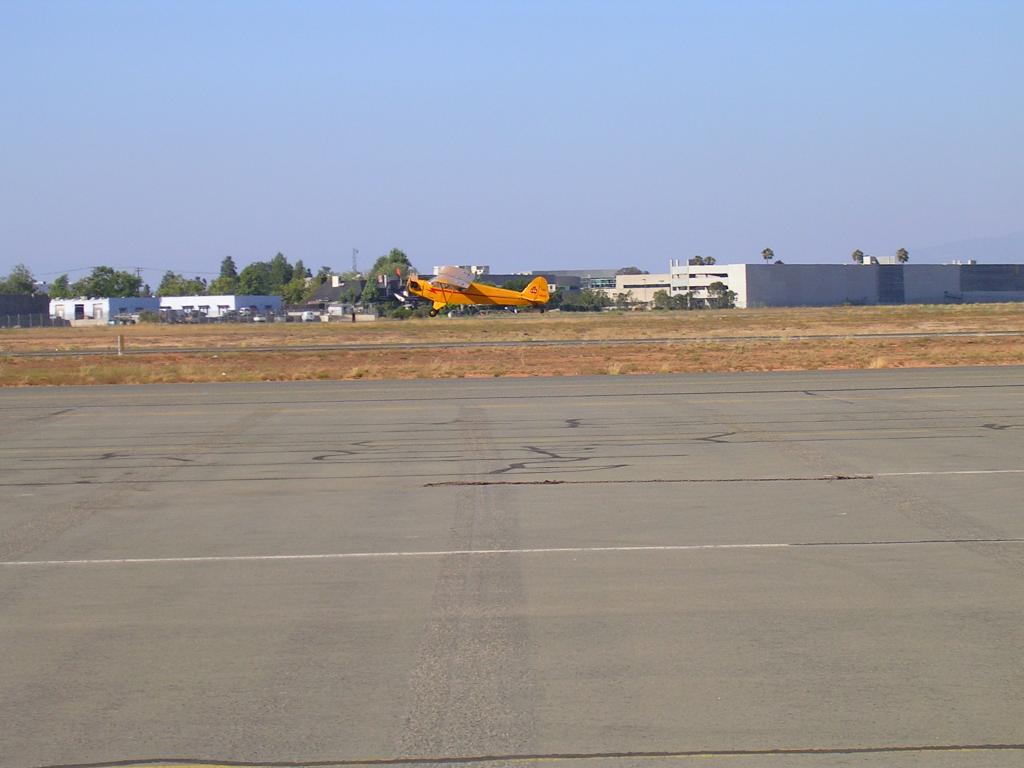 Cub in a crosswind at MYF